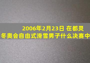 2006年2月23日 在都灵冬奥会自由式滑雪男子什么决赛中